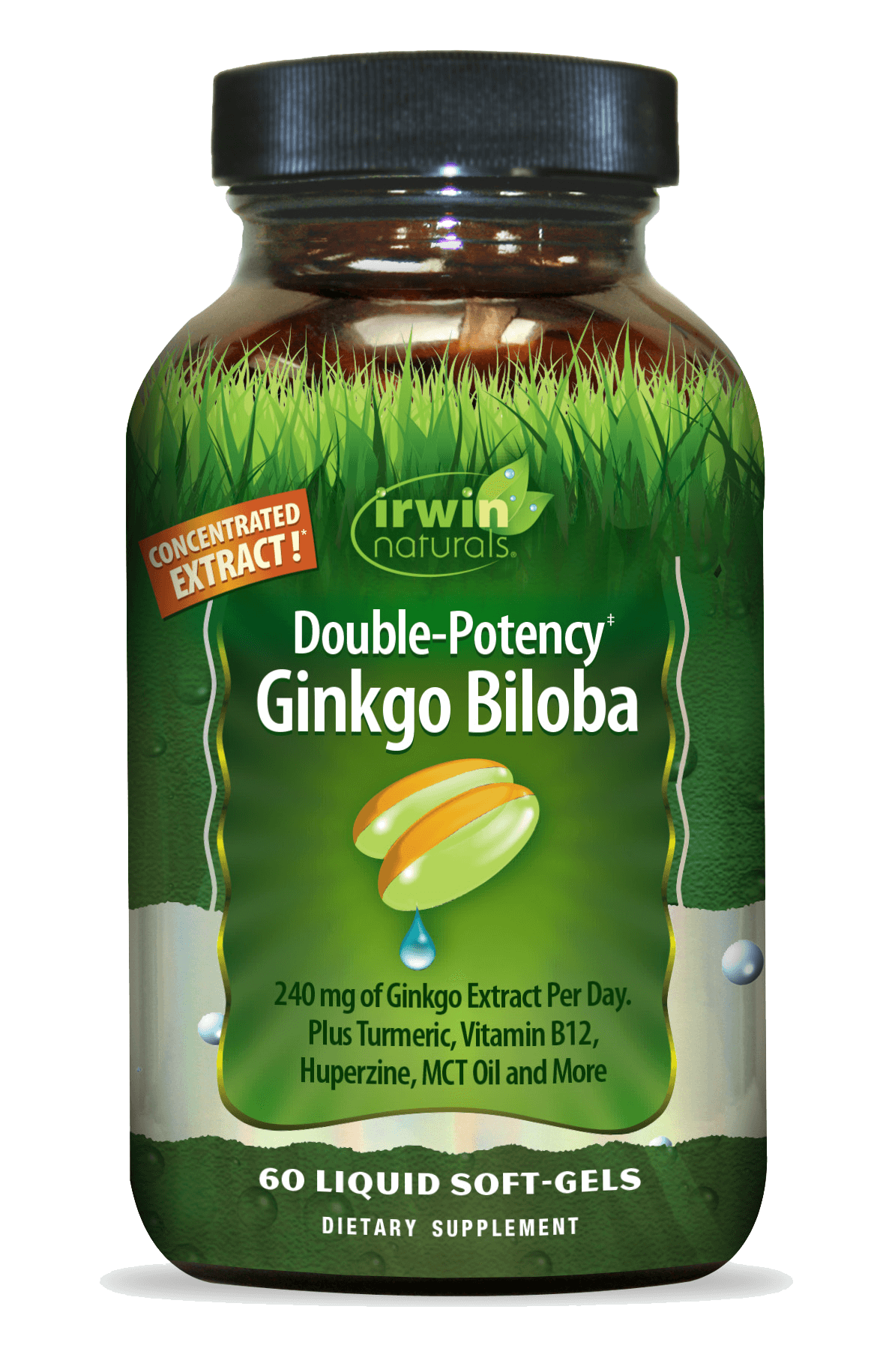 Double Potency Ginkgo Biloba by Irwin Naturals