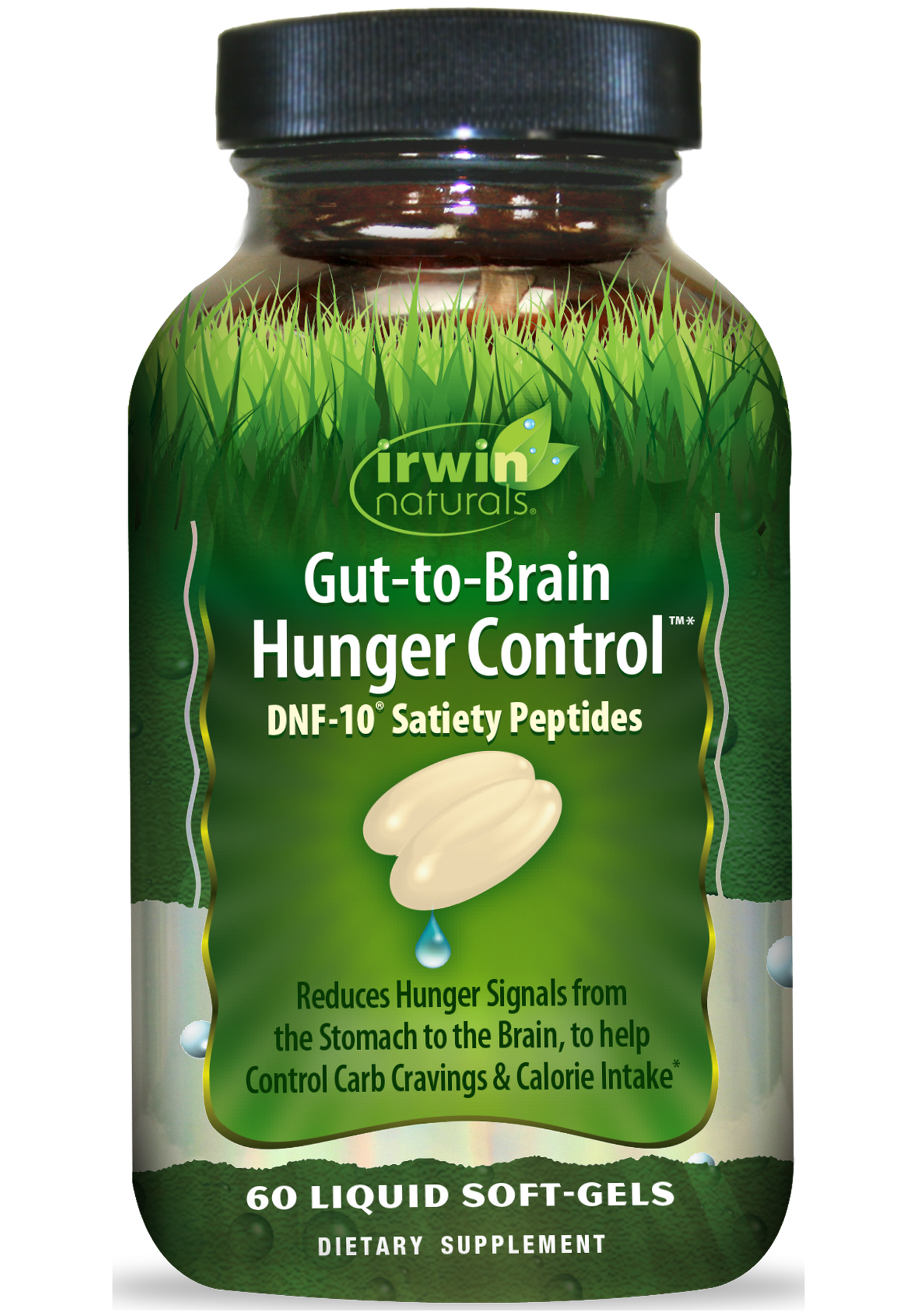 Gut-to-Brain Hunger Control