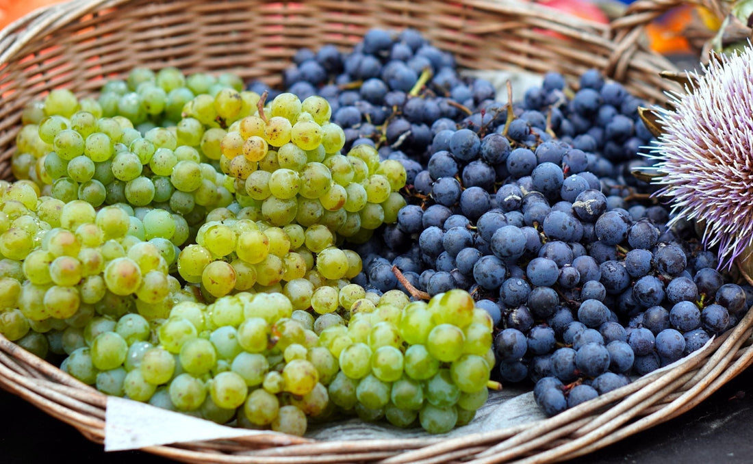 Basket filled with green and purple grape clusters at a market representing fresh grapes used for grape seed extract