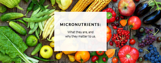 Banner showing fresh vegetables, featuring a white text box that reads "Micronutrients: What they are, and why they matter to us.