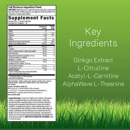 acetyl l carnitine nitric oxide Acetyl L-Carnitine 1500mg per serving main image 1