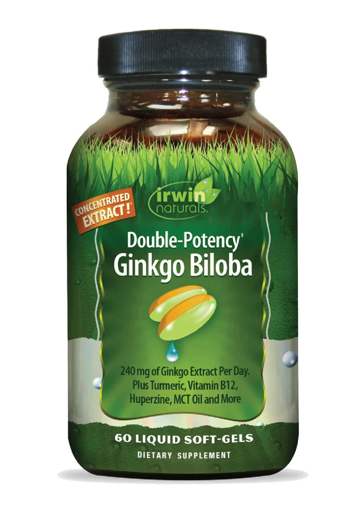 Double-Potency Ginkgo Biloba-Irwin Naturals