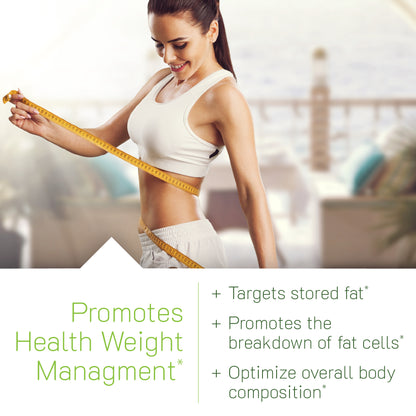 Forskolin Fat-Loss Diet-Irwin Naturals