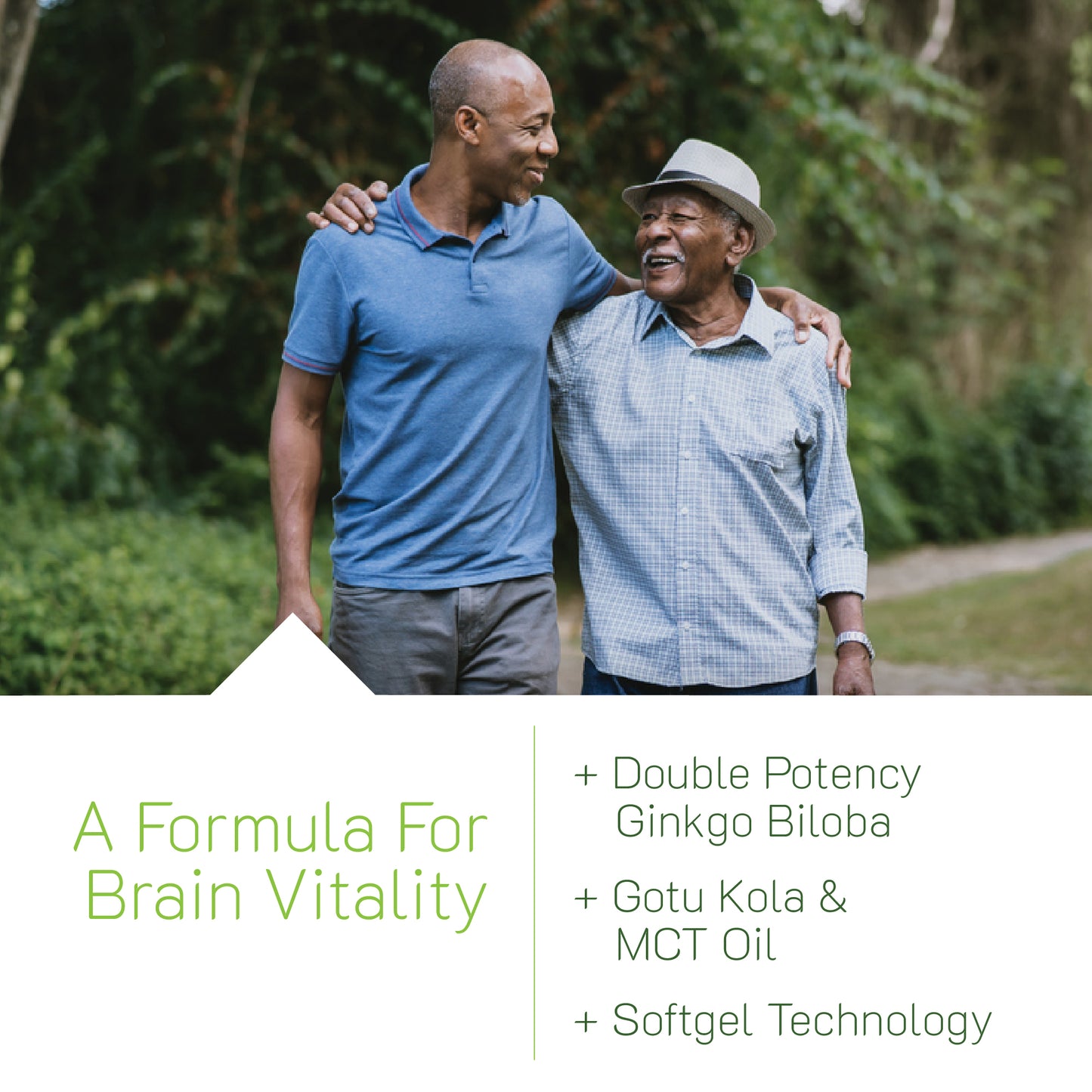 Double-Potency Ginkgo Biloba
