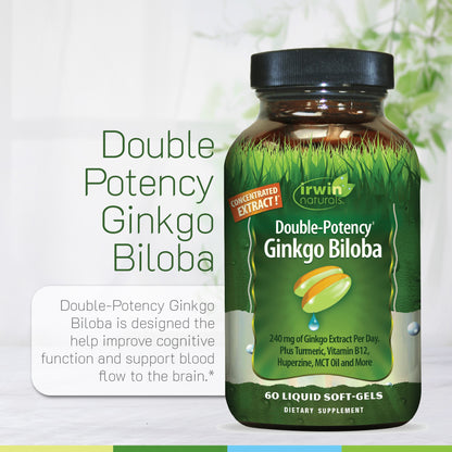 ginkgo biloba and acetyl l carnitine Double Potency Ginkgo Biloba Supplement for Brain Support* – Irwin Naturals