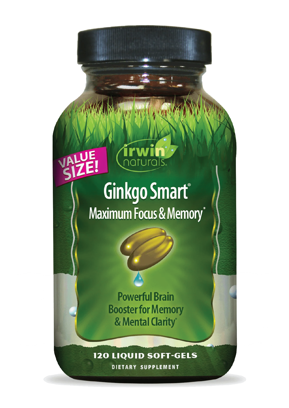 Ginkgo-Smart-Irwin Naturals