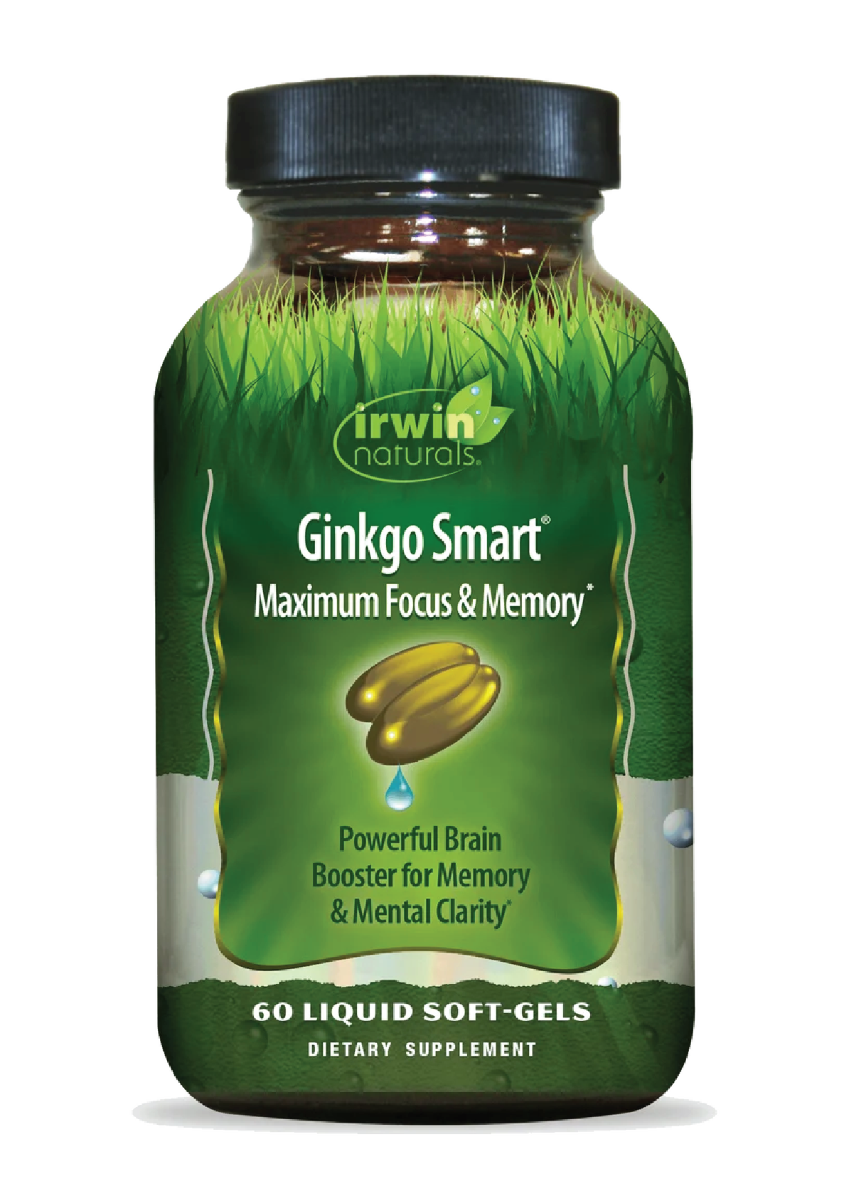 Ginkgo-Smart-Irwin Naturals