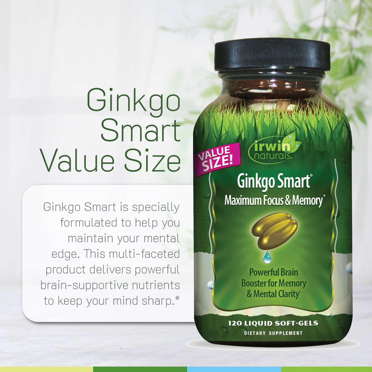 Ginkgo Smart Value Size-Irwin Naturals