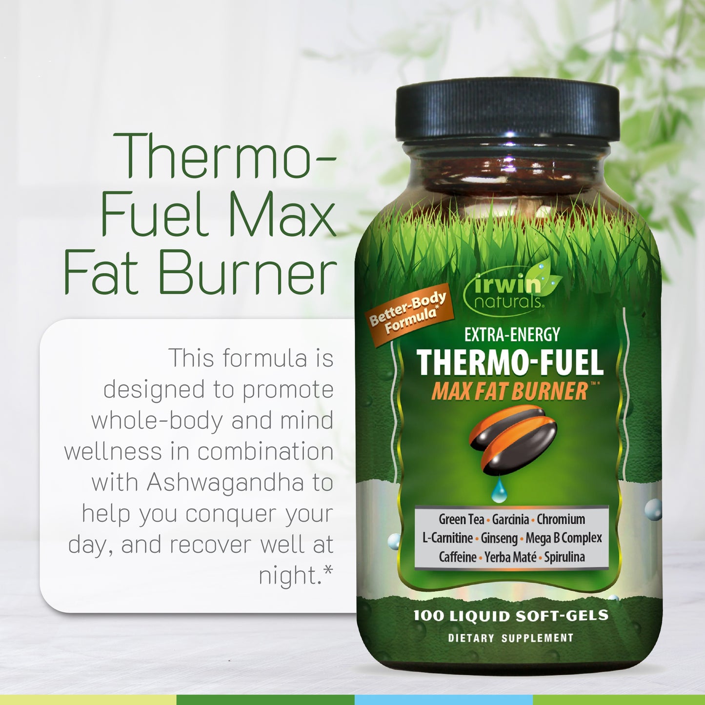 Global Wellness Immuno-Shield with Elderberry
