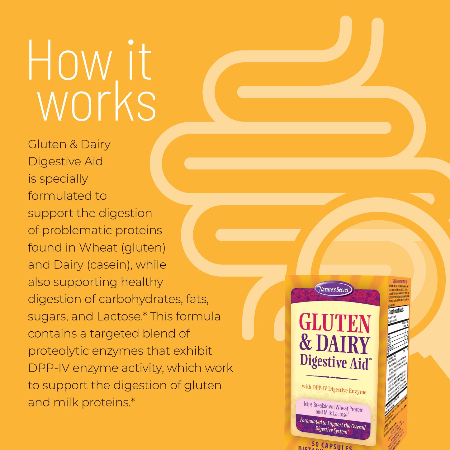 Gluten and Dairy Digestive Aid - Nature's Secret-Irwin Naturals