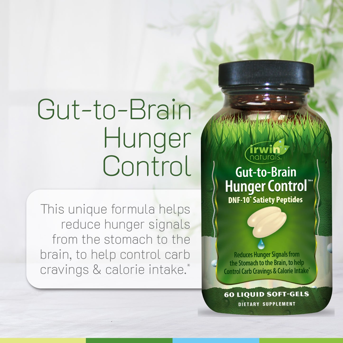 Gut-to-Brain Hunger Control-Irwin Naturals