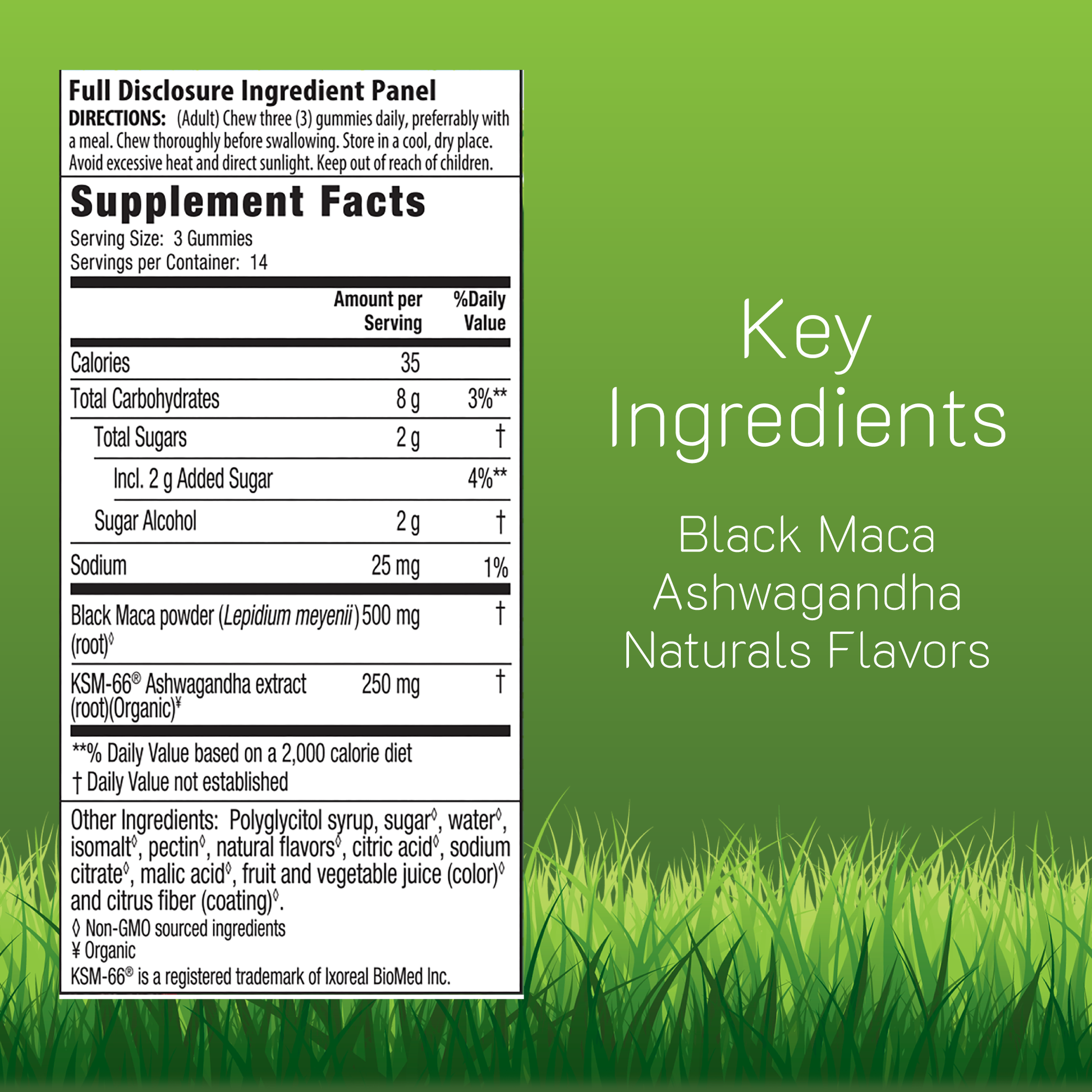Maca Root + Ashwagandha Gummies – Shop Maca Root Gummies – Irwin