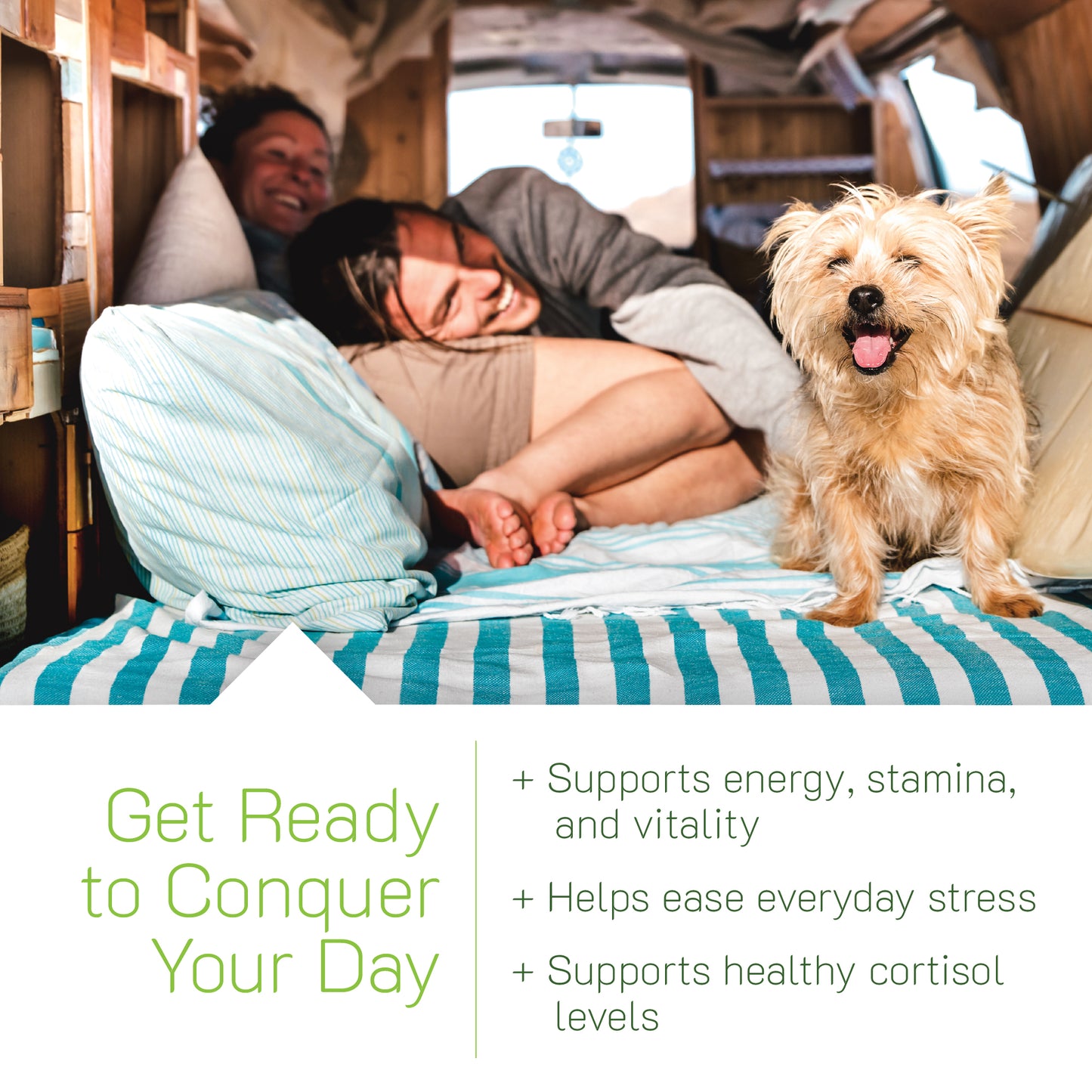 Person and dog in a van with text about energy, stamina, and stress relief.