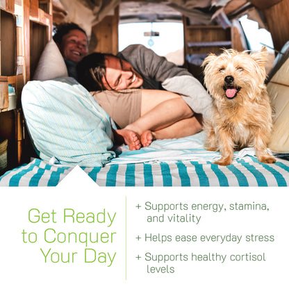 Person and dog in a van with text about energy, stamina, and stress relief.