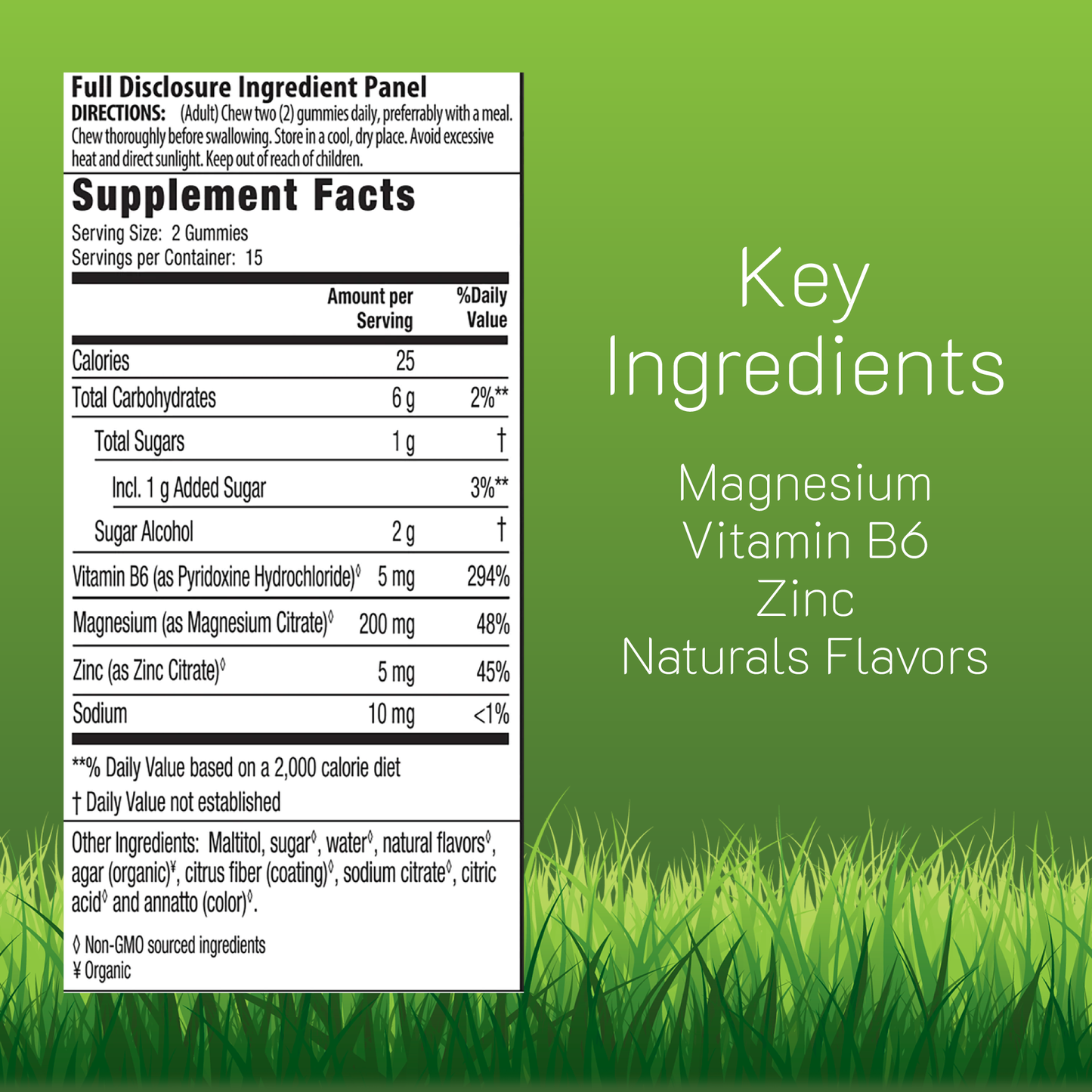 Supplement label with key ingredients, Magnesium, Vitamin B6, Zinc, and Natural Flavors