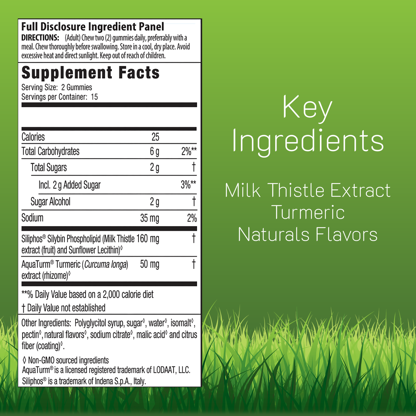 Supplement panel with key ingredients, Milk Thistle Extract, Turmeric, and Natural Flavors