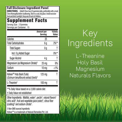 Supplement label with key ingredients, L-Theanine, Holy Basil, and Magnesium