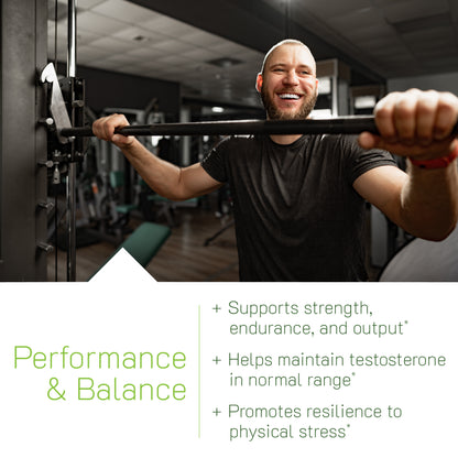 Next-Level Extra Strength Testosterone UP V2-Irwin Naturals