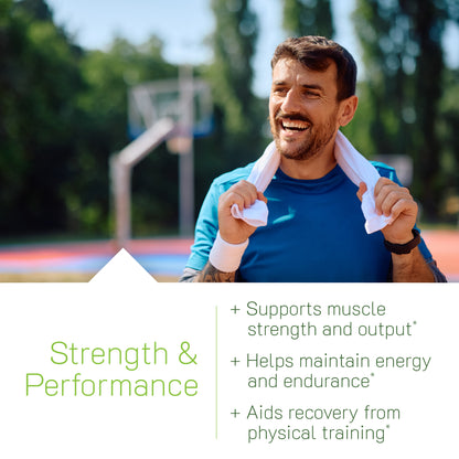 Testosterone UP Strength & Size-Irwin Naturals