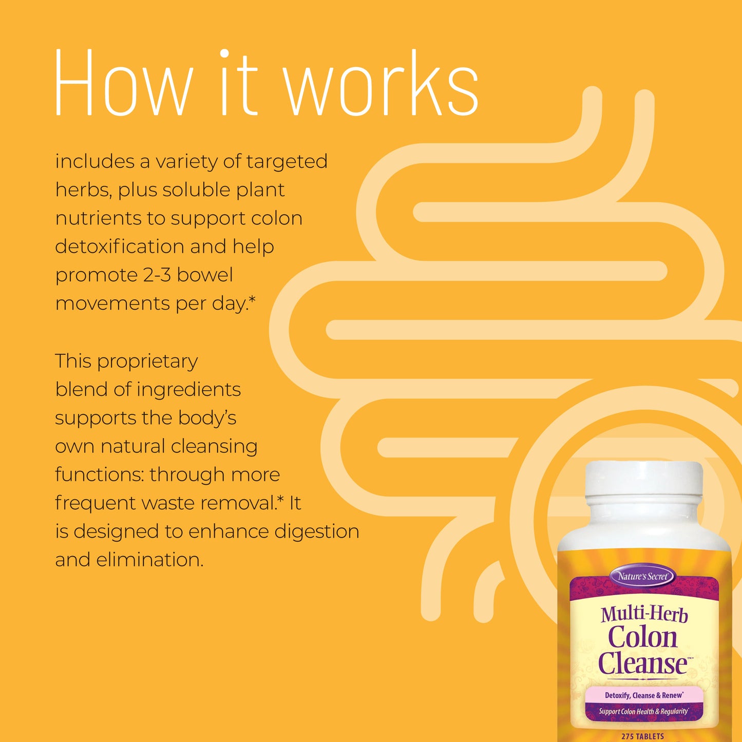 Multi-Herb Colon Cleanse - Nature's Secret-Irwin Naturals