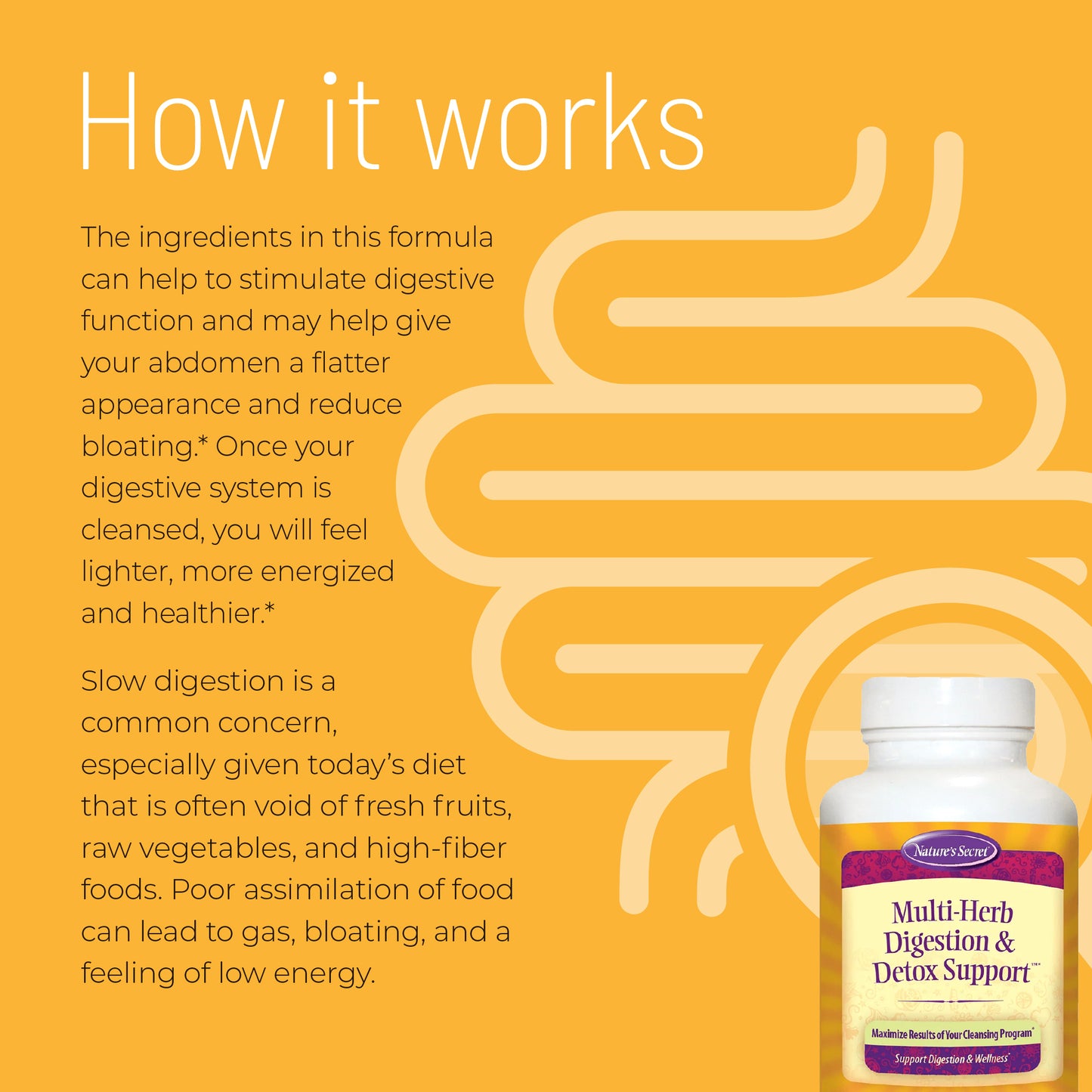 Multi-Herb Digestion & Detox Support - Nature's Secret-Irwin Naturals