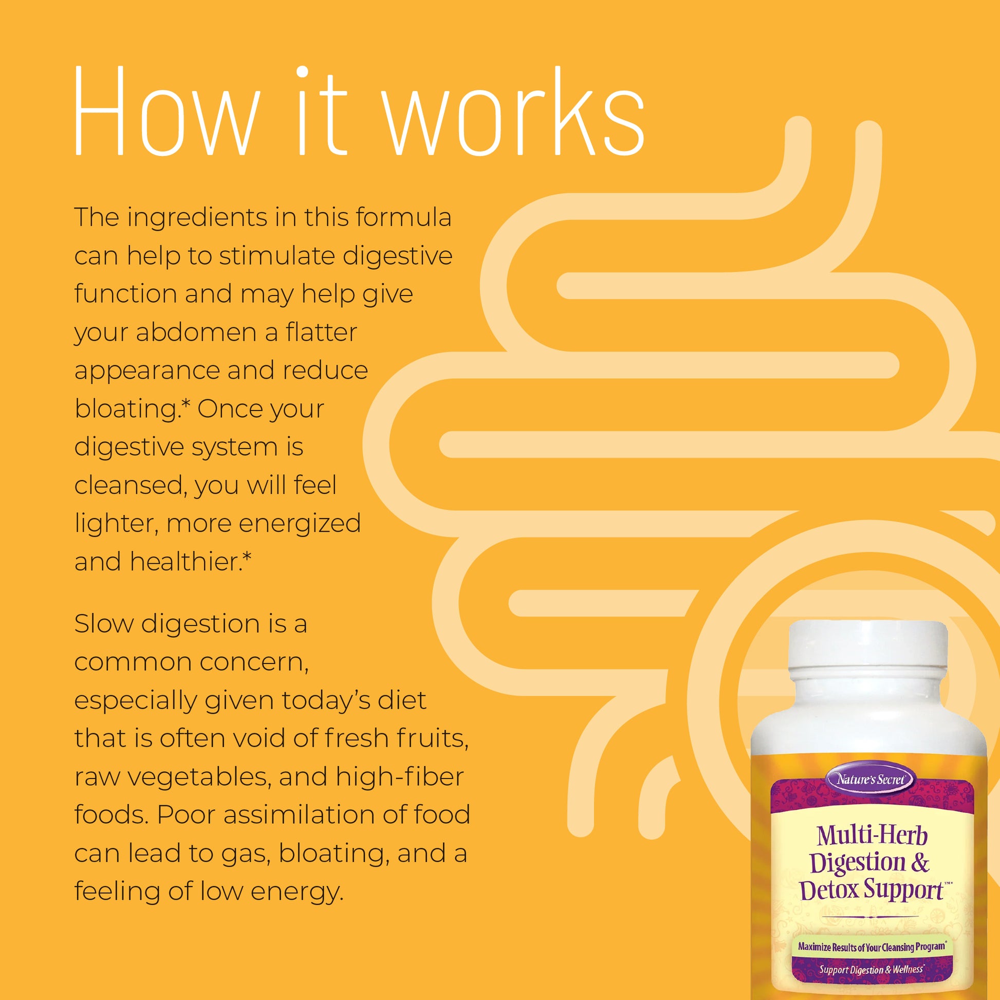 Multi-Herb Digestion & Detox Support - Nature's Secret-Irwin Naturals