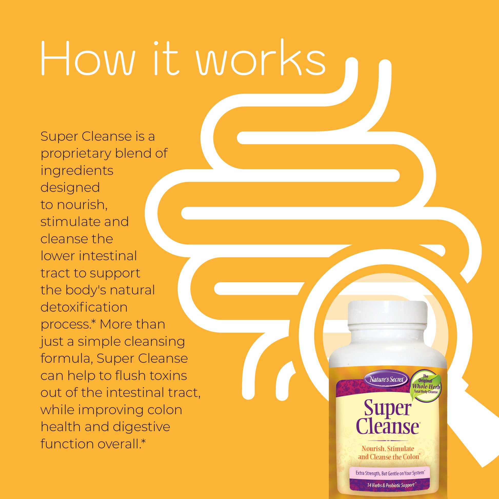 Super Cleanse - Nature's Secret-Irwin Naturals