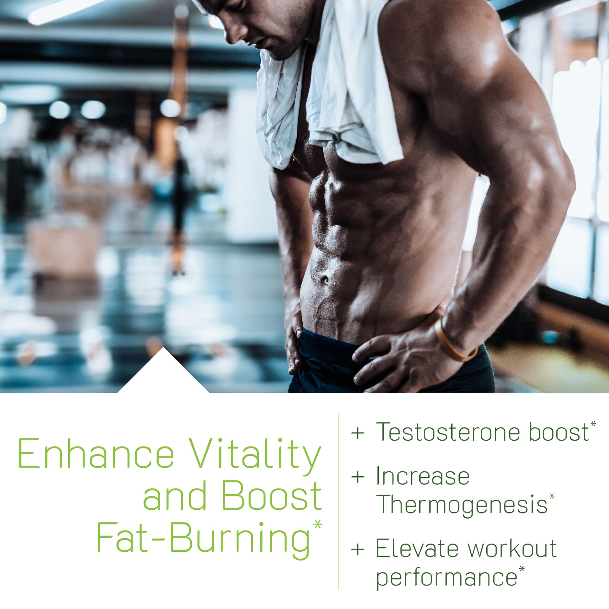 Rapid-Acting Testosterone UP ThermoBurn-MAX-Irwin Naturals