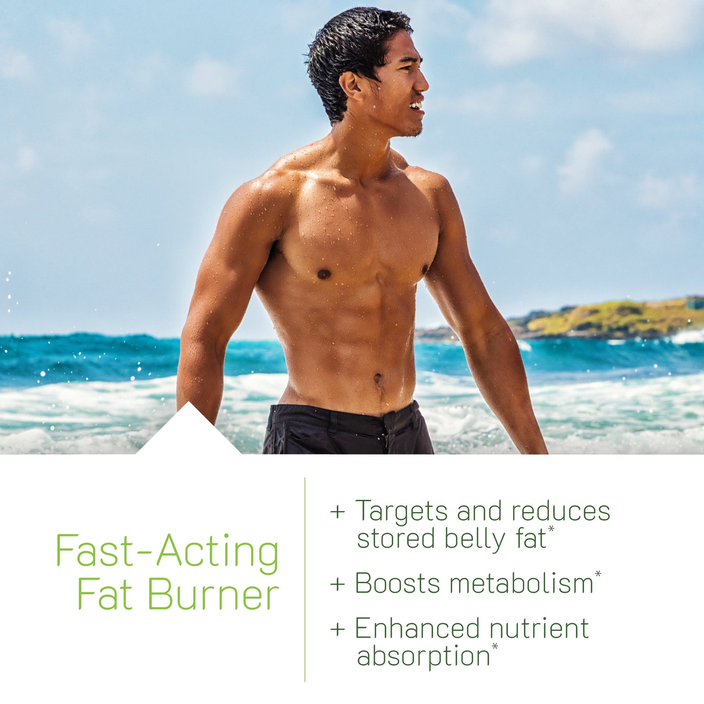 Stored-Fat Belly Burner