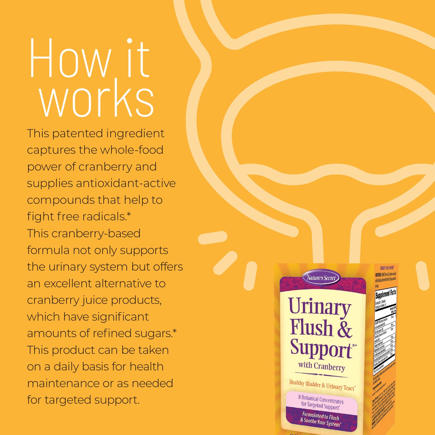 Urinary Flush & Support - Nature's Secret-Irwin Naturals