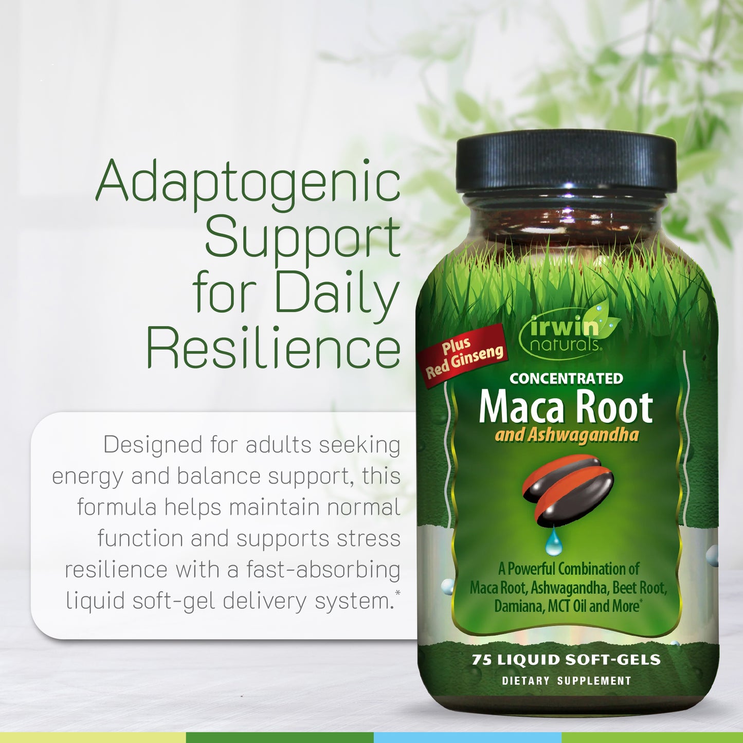 Maca Root and Ashwagandha-Irwin Naturals