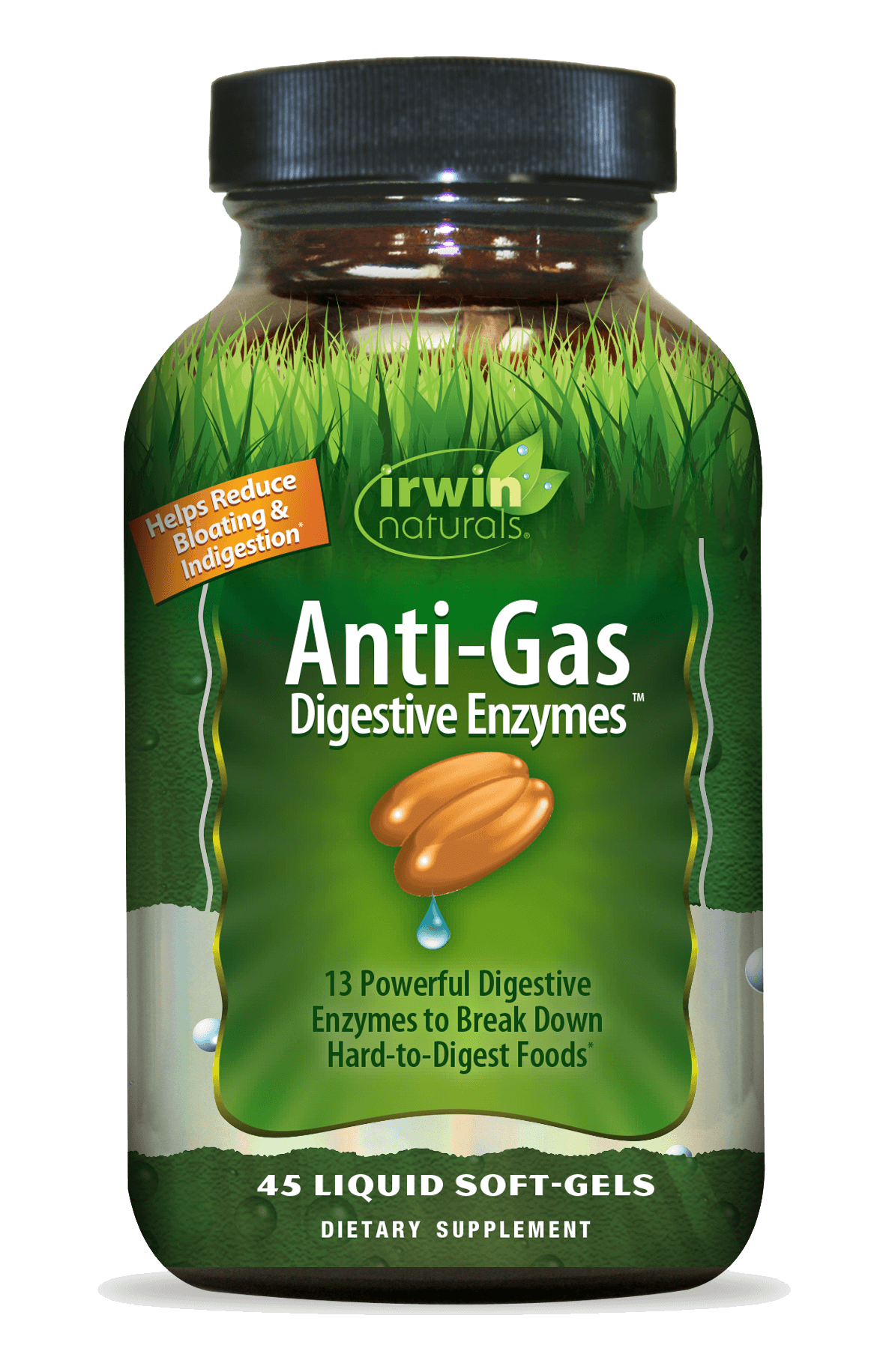 Anti-Gas Digestive Enzymes by Irwin Naturals Digestive Aid