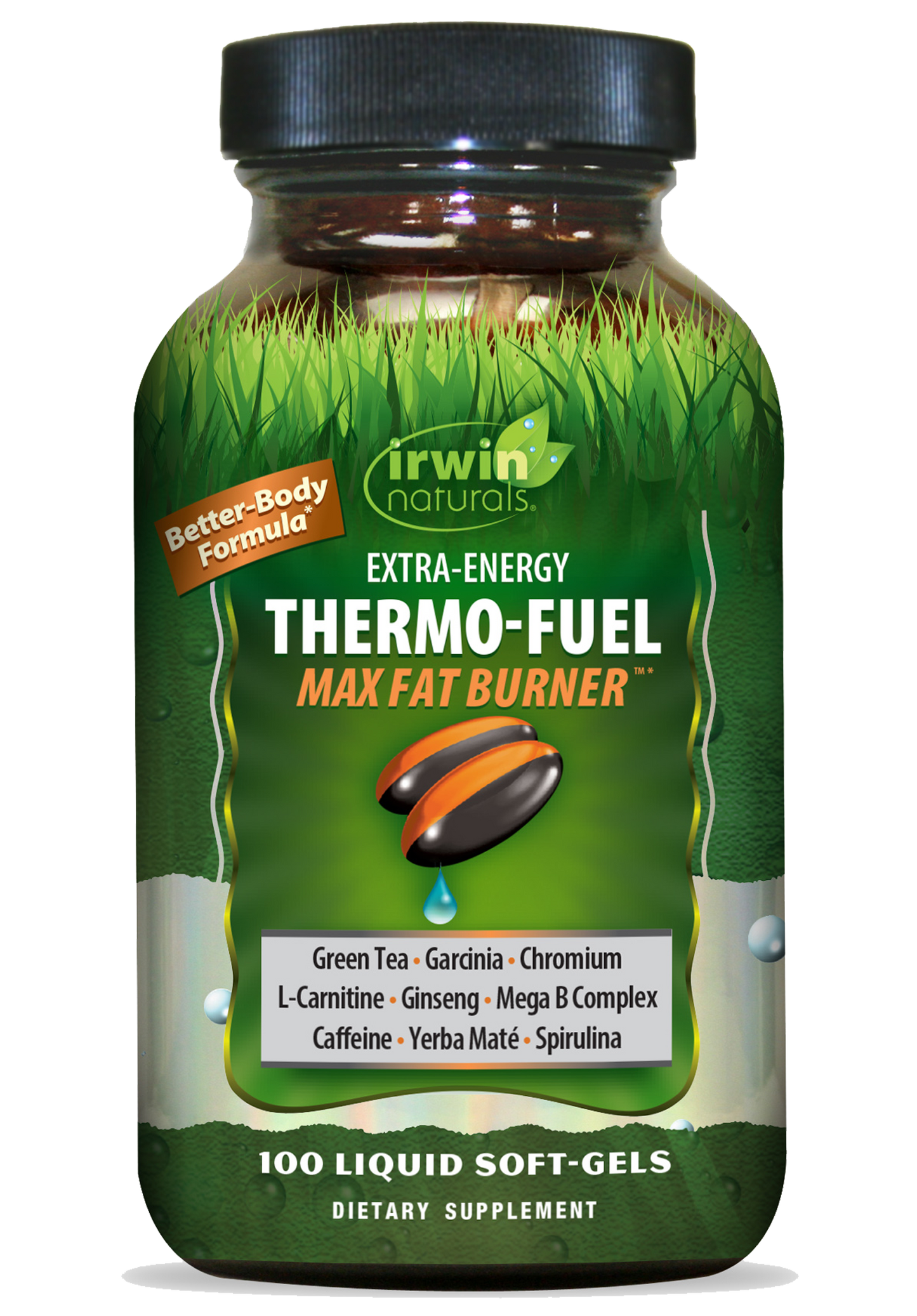 l carnitine thermo L-Carnitine Liquid 1500 Heat