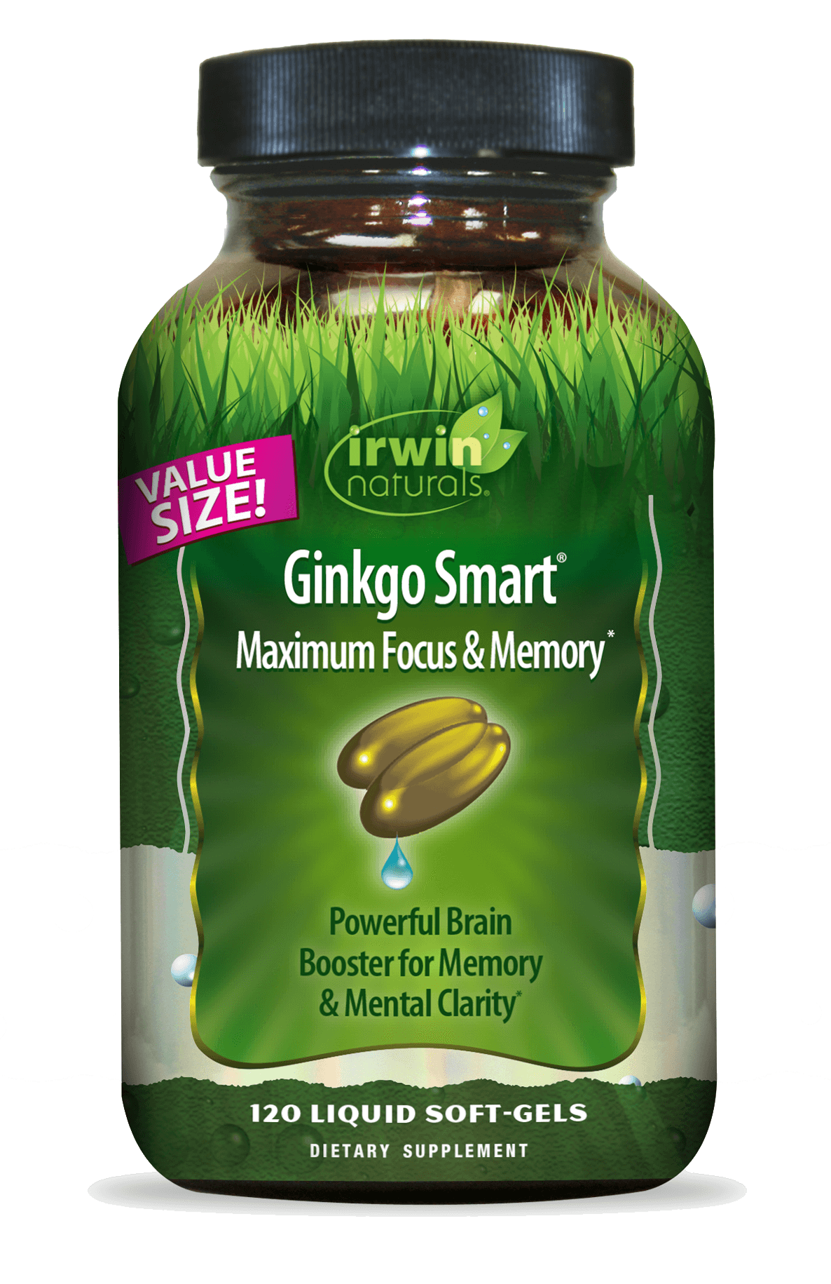 Ginkgo Smart Value Size 10.00% Off Auto renew-Irwin Naturals