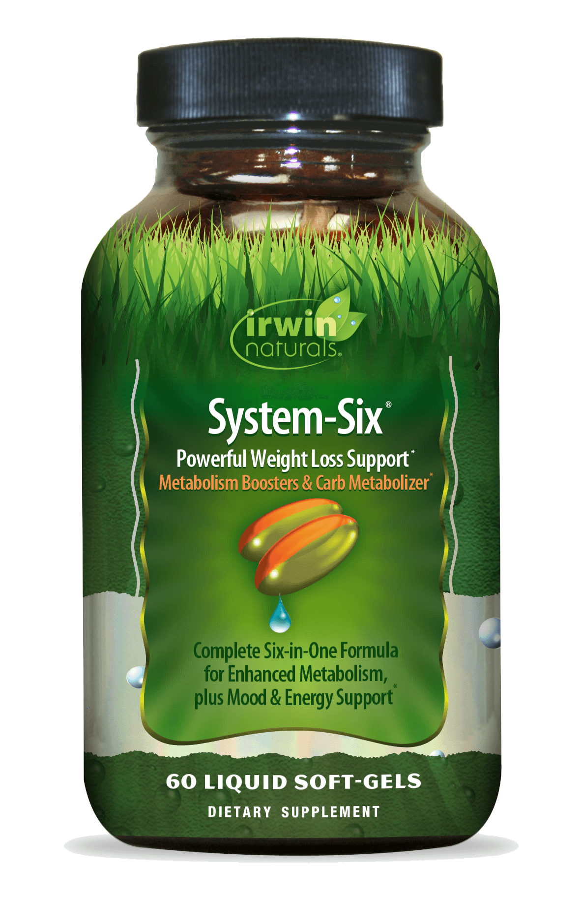 System Six Powerful Weight Loss Support by Irwin Naturals